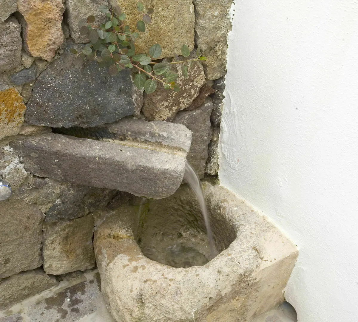 פאנריאה B&B Da Luca איטליה